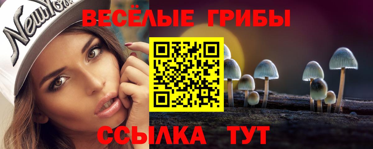 Галлюциногенные грибы MAGIC MUSHROOMS Озёрск